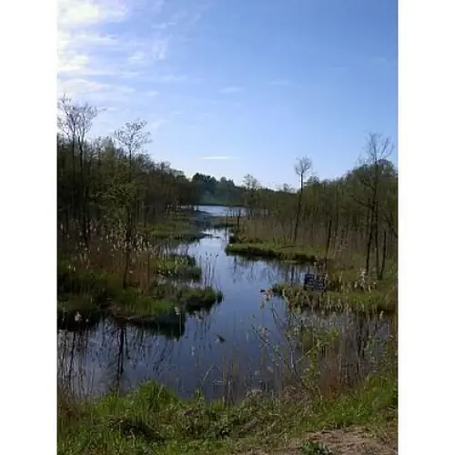 Rzeka łącząca jezioro Czarne z jeziorem Rospuda