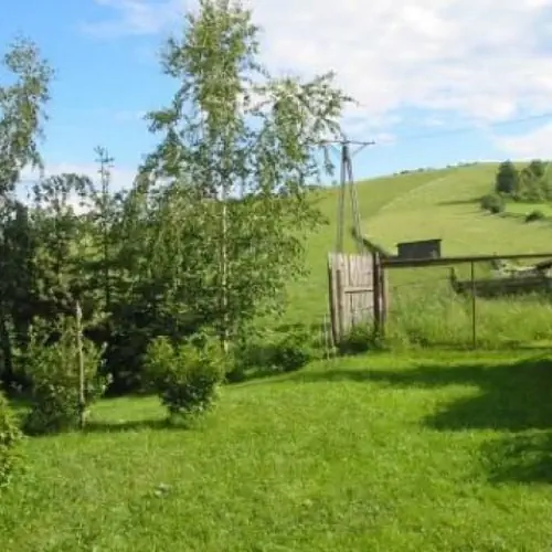 Gospodarstwo 'Słoneczko' Miszkowice wieś Miszkowice 120