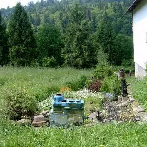 Skalny ogr&oacute;dek za domem dla gości