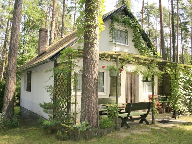 Duży domek letniskowy 6 osób MAKOWO k. Iławy Makowo Noclegi.pl