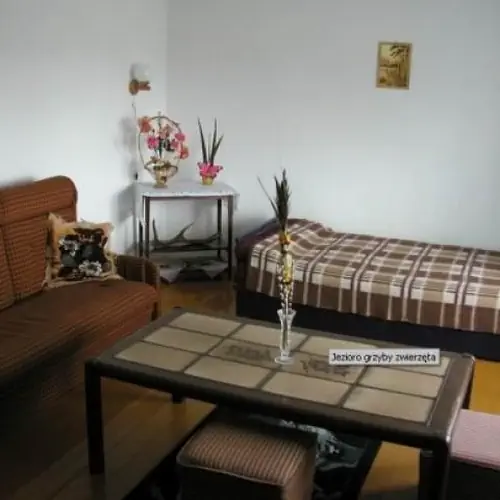 Gospodarstwo agroturystyczne Pod Dębem Prabuty Sypanica 31