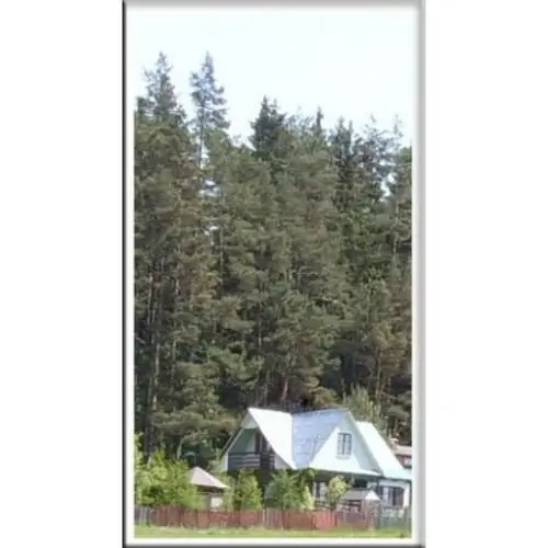 Domek letniskowy U Jagody Bakałarzewo Bakałarzewo Kolonia