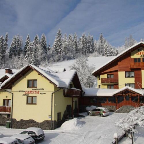 Willa Larysa Agro Wisła