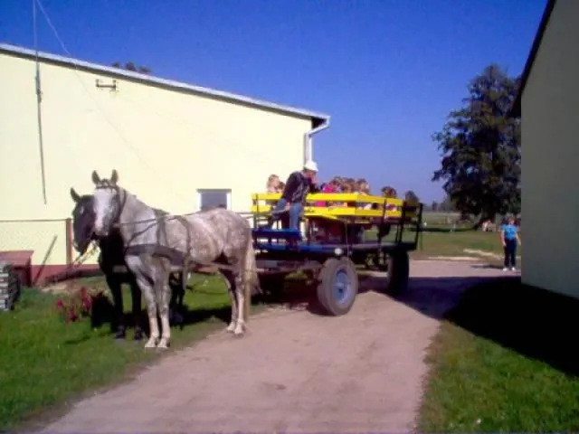 Gospodarstwo Agroturystyczne  z Hodowlą Koni  w Makowicy Makowica Makowica 28
