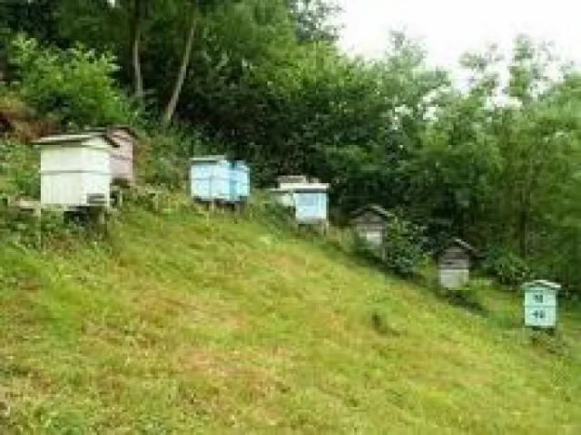 Agroturystyka Za Potokiem Jaworzna Jaworzna 35