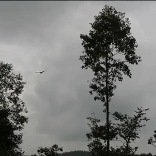 Dolina G&oacute;rnej Rospudy