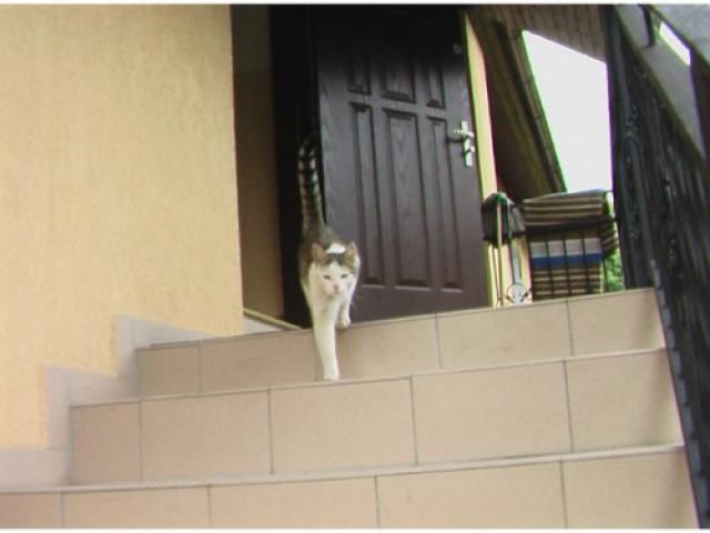 Kudowy Zdr. Jeleniów BO-JAN  Jeleniów Jeleniów 29A