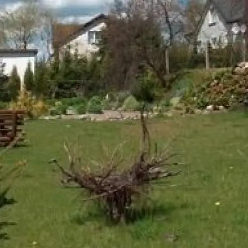 Agroturystyka Daszkiewicz Zawory Zawory 86