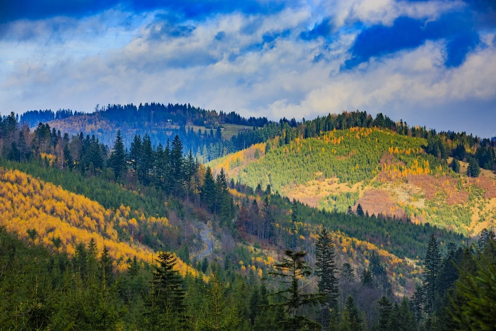 Dom Wczasowy Stalownik Gródek Nad Dunajcem
