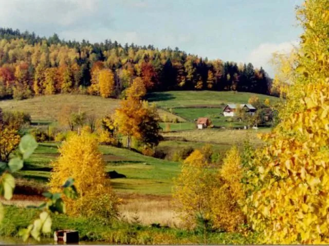 Gospodarstwo Agroturystyczne Sarnak. Obiekt oferujący wyżywienie. Podg&oacute;rzyn Zachełmie 43
