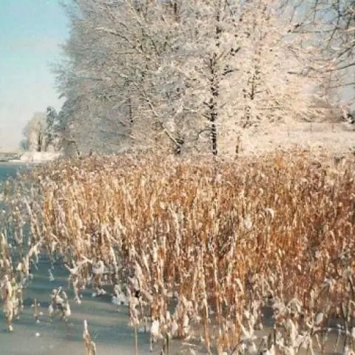 Gospodarstwo Agroturystyczne .Obiekt z wyżywieniem . Płaska Płaska 86