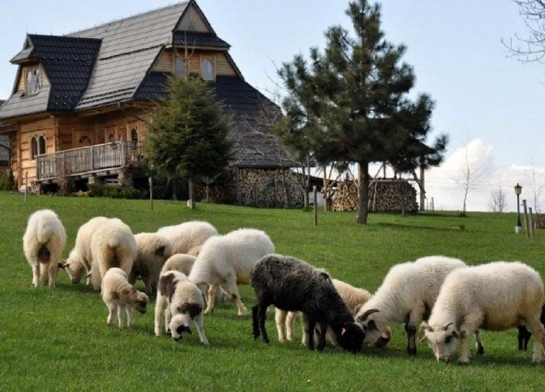 Dom góralski pod owieczkami - Ząb