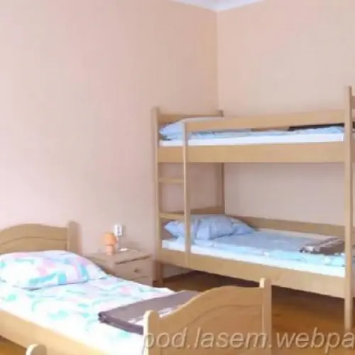 GOSPODARSTWO AGROTURYSTYCZNE POD LASEM Kamionna Kamionna 64