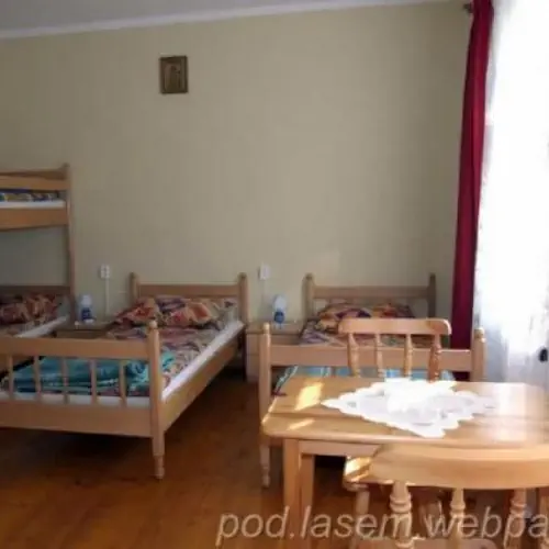 GOSPODARSTWO AGROTURYSTYCZNE POD LASEM Kamionna Kamionna 64