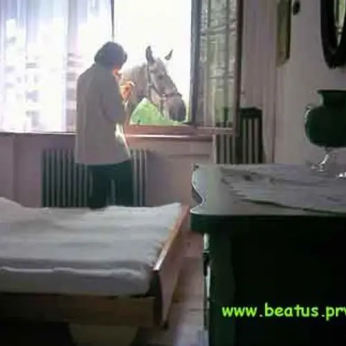 BEATUS GOSPODARSTWO AGROTURYSTYCZNE Olszyniec Wałbrzyska 3a