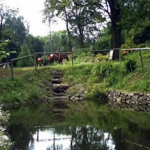 BEATUS GOSPODARSTWO AGROTURYSTYCZNE Olszyniec Wałbrzyska 3a