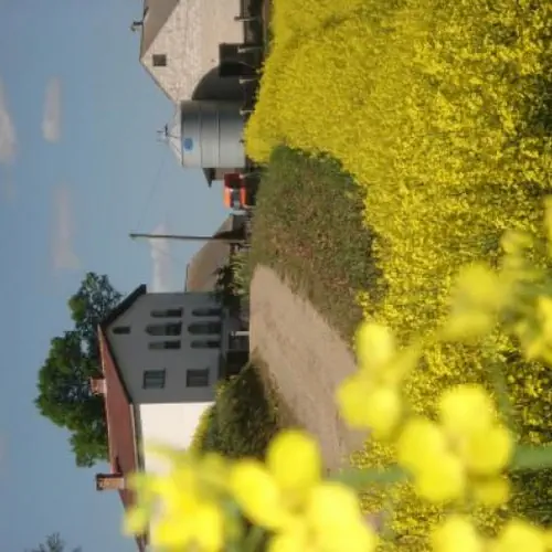 Pod Lipą Słup Słup 79