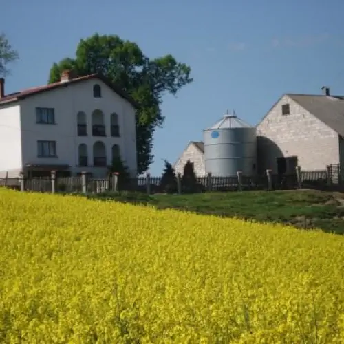 Pod Lipą Słup Słup 79