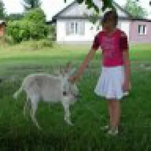 EKOTURYSTYKA W RAJU Sarnaki SPOKOJNA 4