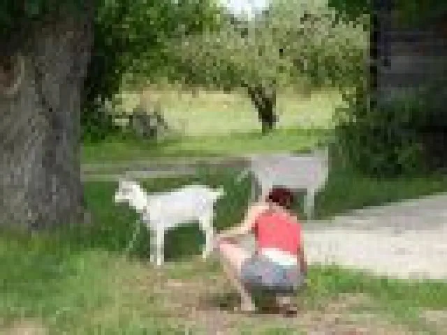 EKOTURYSTYKA W RAJU Sarnaki SPOKOJNA 4