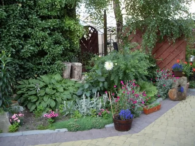 U EDYTY Darłowo GROTTGERA 4