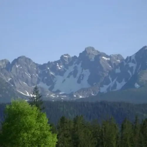 u Iwony Murzasichle Stary B&oacute;r 6