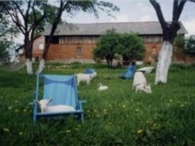 Gospodarstwo agroturystyczne Pod Wiatr Ukta Ukta 121