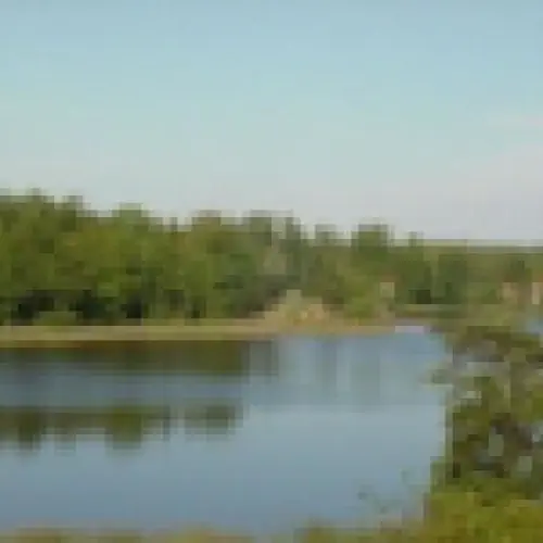 U Heleny Wydminy Słowackiego 14