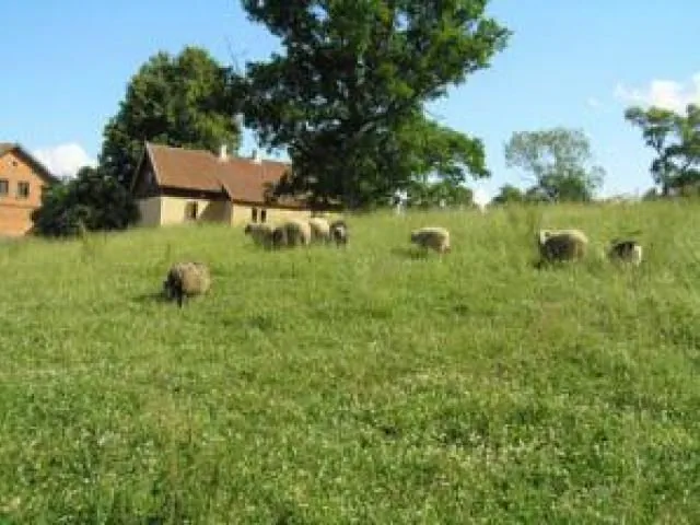 Dom Echa Błędziszki Błędziszki