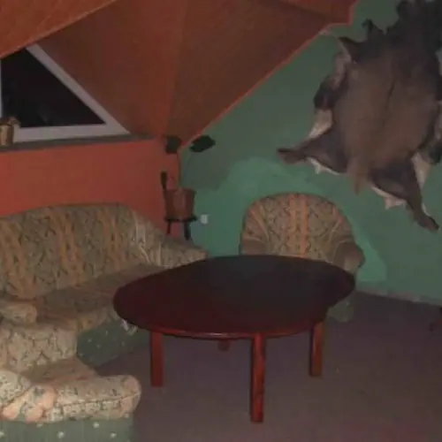 AGROTURYSTYKA ALFA Bystra Śląska Kowalska 18