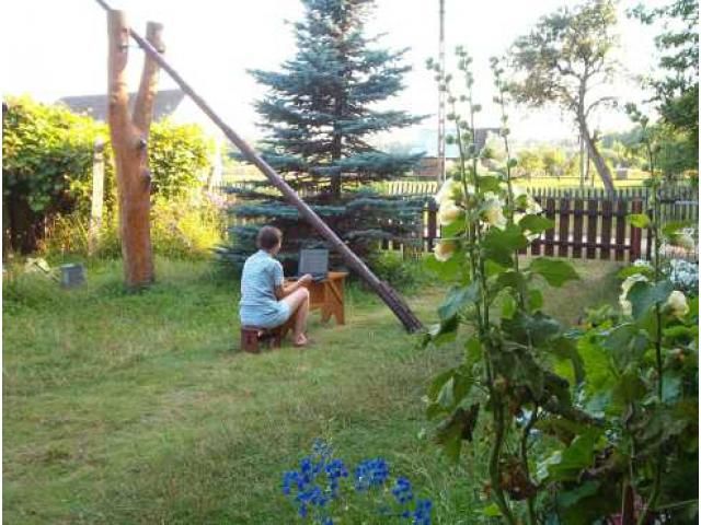Suszczy Borek Narewka Suszczy Borek 7