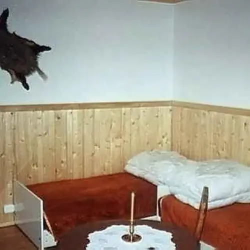 Kwatery Prywatne w Białowieży Białowieża Polna 9