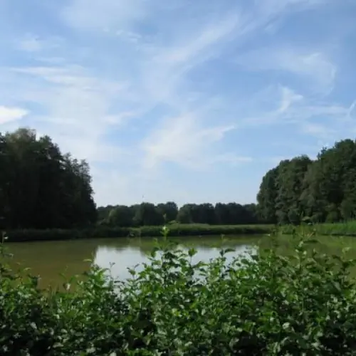 Olszynka Ochaby Kameralna 15