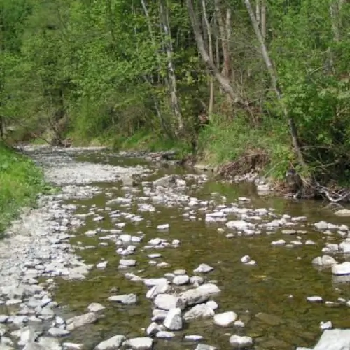 Agroturystyka Beskid Niski Kunkowa Kunkowa 70
