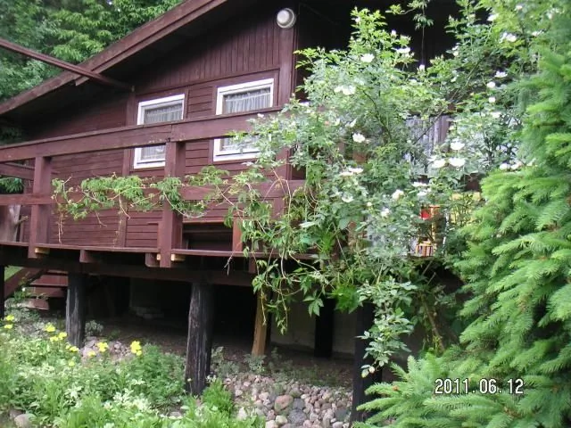 Wilimy - domek letniskowy Wilimy Wilimy