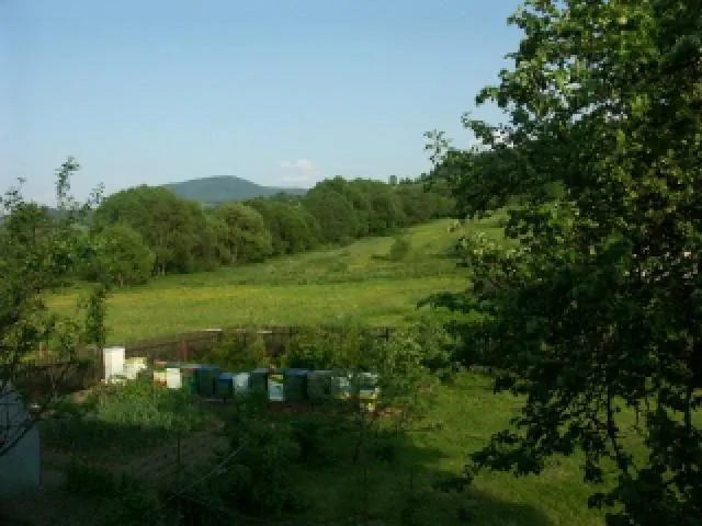 Agtoturystyka M.T. Banaś Rycerka G&oacute;rna Rycerka G&oacute;rna 120