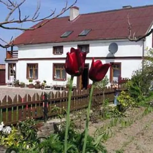 Gospodarstwo Agroturystyczne NA POCZĄTKU Darłowo Kopań 1