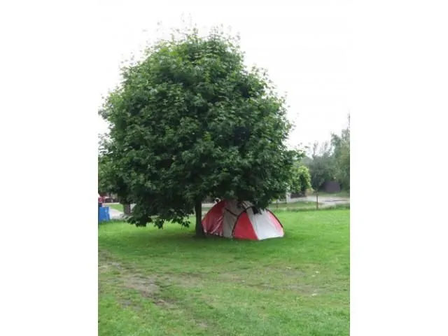 Pokoje z łazienkami Jantar Jantar Kr&oacute;tka 2