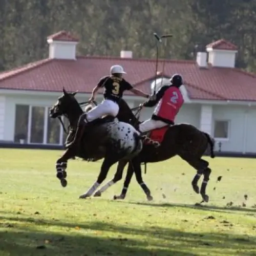 Warsaw Polo Club Jaroszowa Wola Działkowa 27