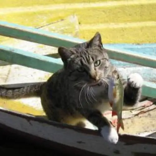 Ośrodek WODAN Piecki Zgon 46