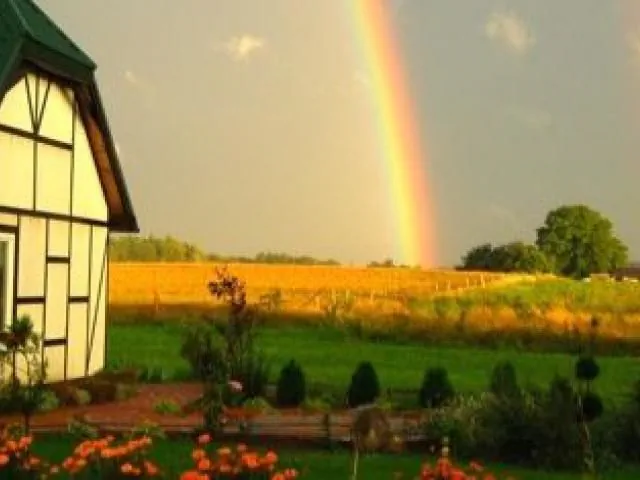 Czupryn&oacute;wka Gniewino Tadzino 35