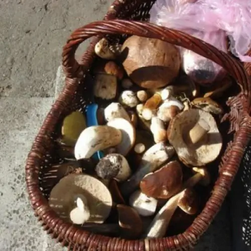 Gospodarstwo Ekoagroturystyczne KAMEZ Szczytno Wawrochy 36