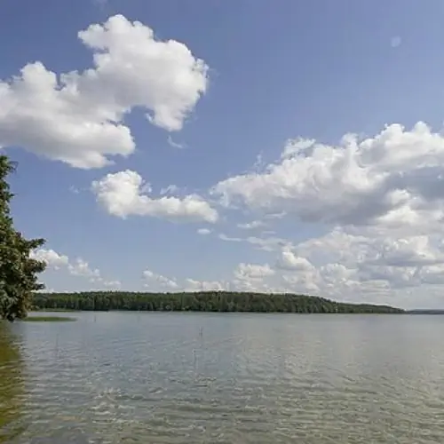 Pole namiotowe Bogacko Bogacko Bogacko