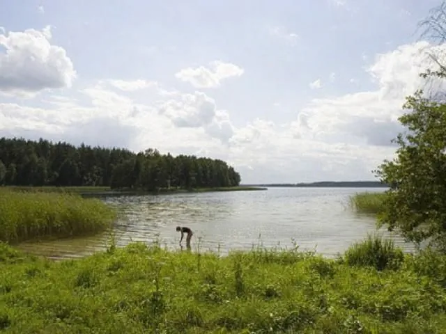 Pole namiotowe Bogacko Bogacko Bogacko