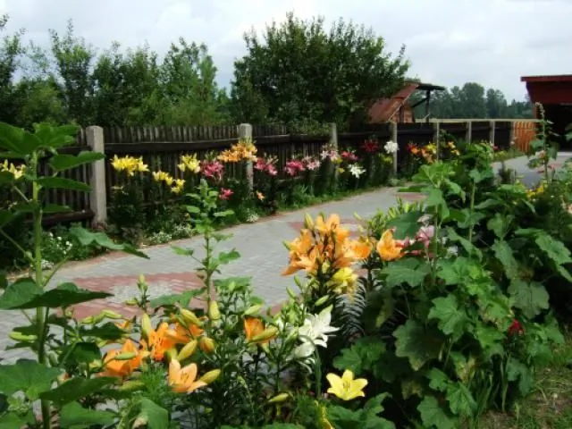 Agroturystyka Skrzypczyk Dąbrowice Dąbrowice 59