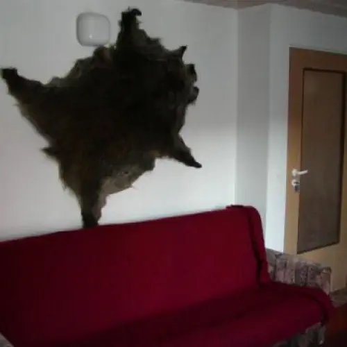 Agroturystyka w Gibach Giby Giby 94