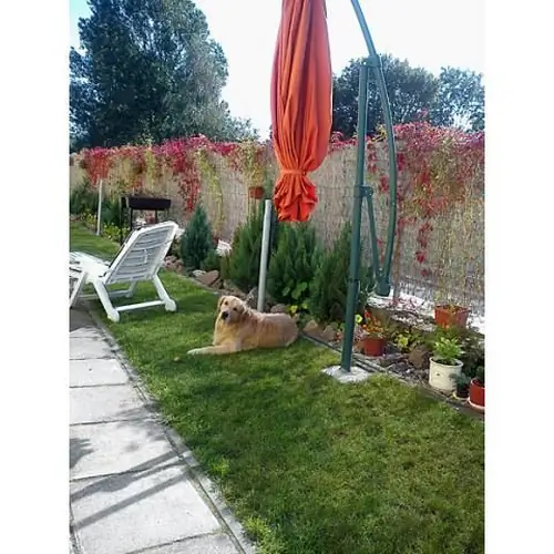 Dom Wypoczynkowy Reda Mielno