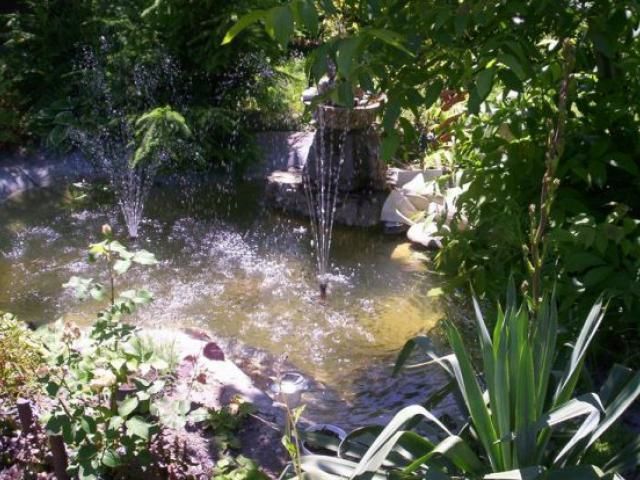 Gospodarstwo Agroturystyczne "NAD STAWEM" Zamość Wierzchowiny 19