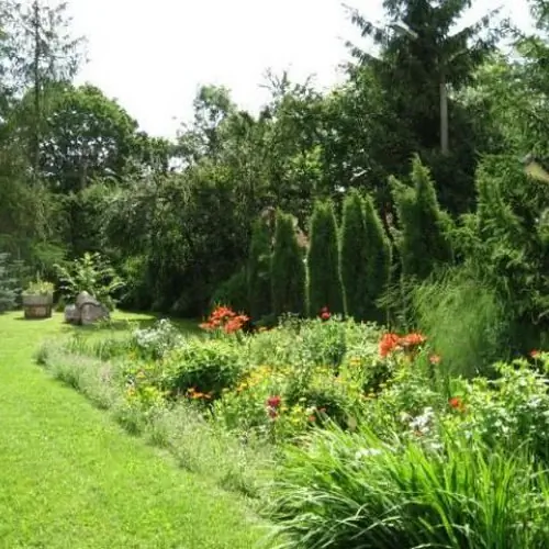 Agroturystyka "U Bazylego"  Sorkwity Jędrychowo 5