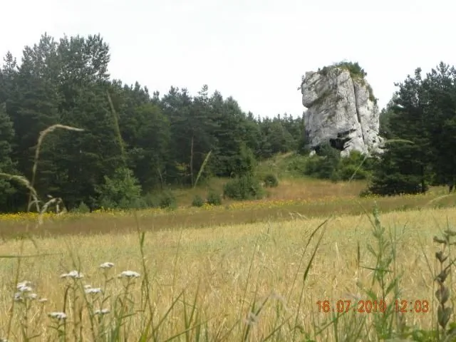 Pod Basztą Rycz&oacute;w Kościelna 6